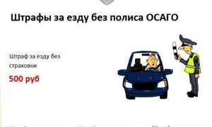 «Бесправникам» на заметку: штраф за езду без водительского удостоверения