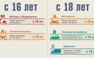 До какого возраста можно получить водительские права в России: ограничения