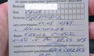 Как вернуть свои водительские права, если они утеряны: пошаговая инструкция