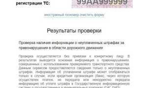 Где посмотреть штрафы ГИБДД по номеру машины и как их погасить
