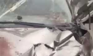 Медведь в Ладе и залитая пеной выхлопная труба: автособытия недели