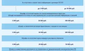 Суровые наказания и новые штрафы ГИБДД с 1 сентября 2019 года: что из этого правда