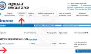 Проблемы с транспортным налогом: потерял квитанцию, не пришла, неверно начислили