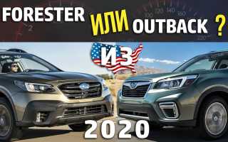 Сравниваем Субару Аутбек и Subaru Forester 2020: что лучше
