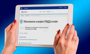 Новый законопроект: чиновники предлагают оспаривать все штрафы онлайн