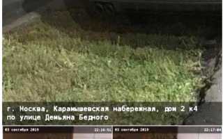 Парковка на газоне в 2020 году: сумма штрафа и определение