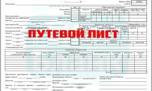 Чем грозит водителю отсутствие путевого листа: суммы штрафов