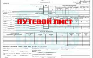 Чем грозит водителю отсутствие путевого листа: суммы штрафов