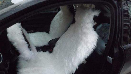 Автомобильные чехлы из меха