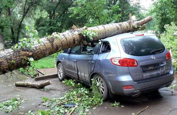 куда жаловаться на дорожные службы