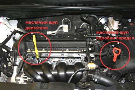 местонахождение щупа в автомате