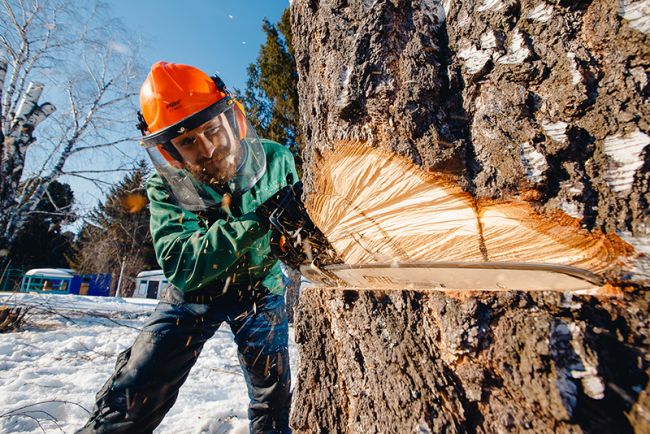 Инструкция по применению