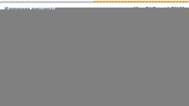 Моторное топливо