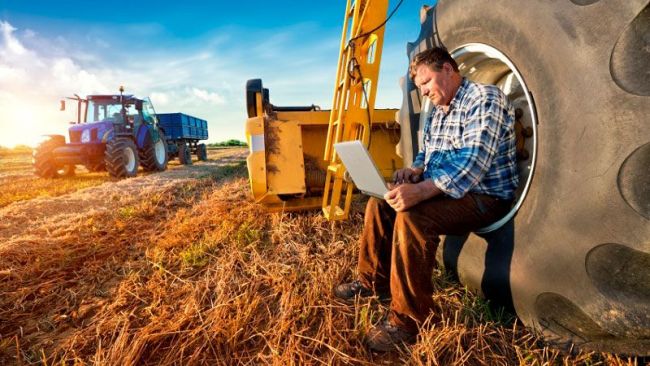 2. Сегмент применения