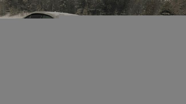 Форма выпуска и артикулы